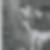 Profilbild von Andrea Clausen