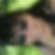 Profilbild von Astrid Bachmaier