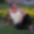 Profilbild von Gabi Routley
