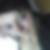 Profilbild von Nicole Thiel