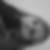 Profilbild von Nicole Polzin