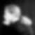 Profilbild von Carolin Schreiner