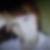 Profilbild von Anne-Beatrice Girke