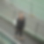 Profilbild von Carina Wahl
