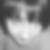 Profilbild von Wera Klee