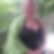 Profilbild von Tanja Klein