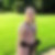 Profilbild von Gerit Dieter