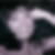 Profilbild von Claudia Thabe