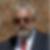 Profilbild von Werner Ullmann