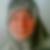 Profilbild von Marion Ölmezoglu     keuchel