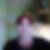 Profilbild von Elvira Knodel
