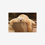 Profilfoto von Jaeger Ursula