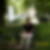 Profilbild von Carola Helbig