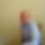 Profilbild von Guntram Rücker