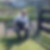 Profilbild von Thomas Kell