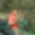 Profilbild von Heino Brüggemann