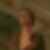 Profilbild von Lydia Bucka