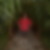 Profilbild von Marco Szary