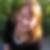 Profilbild von Katharina Nowak