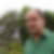 Profilbild von Timo Dreyer