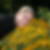 Profilbild von Diana Körner