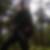 Profilbild von Lutz Diehm