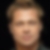 Profilbild von Tom Kiefer