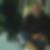 Profilbild von Benjamin Guttmann