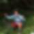 Profilbild von Daniela Wolf
