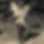 Profilbild von Hans-Jürgen Lobecke