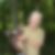 Profilbild von Helmut Westphal