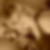 Profilbild von Jessica Brenke