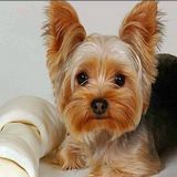 Profilfoto von Maria Lopez