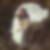 Profilbild von Thomas Knop