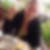 Profilbild von Sabine Steinbeck