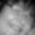 Profilbild von Liane Holst