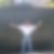 Profilbild von Marco Peters