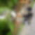 Profilbild von Thomas Nuber