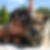 Profilbild von Andrea Brand