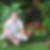 Profilbild von Torsten Fischer