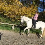 Profilfoto von Nadja Süßenbach