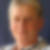 Profilbild von Birgit Stadler