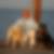 Profilbild von Gaby Tiede