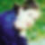 Profilbild von Marie-Louise Mehldau