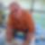 Profilbild von Michael Krause