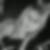 Profilbild von Arnold Stefanie