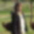 Profilbild von Jacqueline Herrschaft