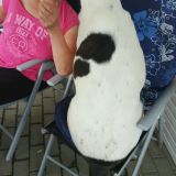 Profilfoto von Elke Gescke