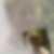 Profilbild von Anke Plack