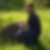 Profilbild von Stefan Roe